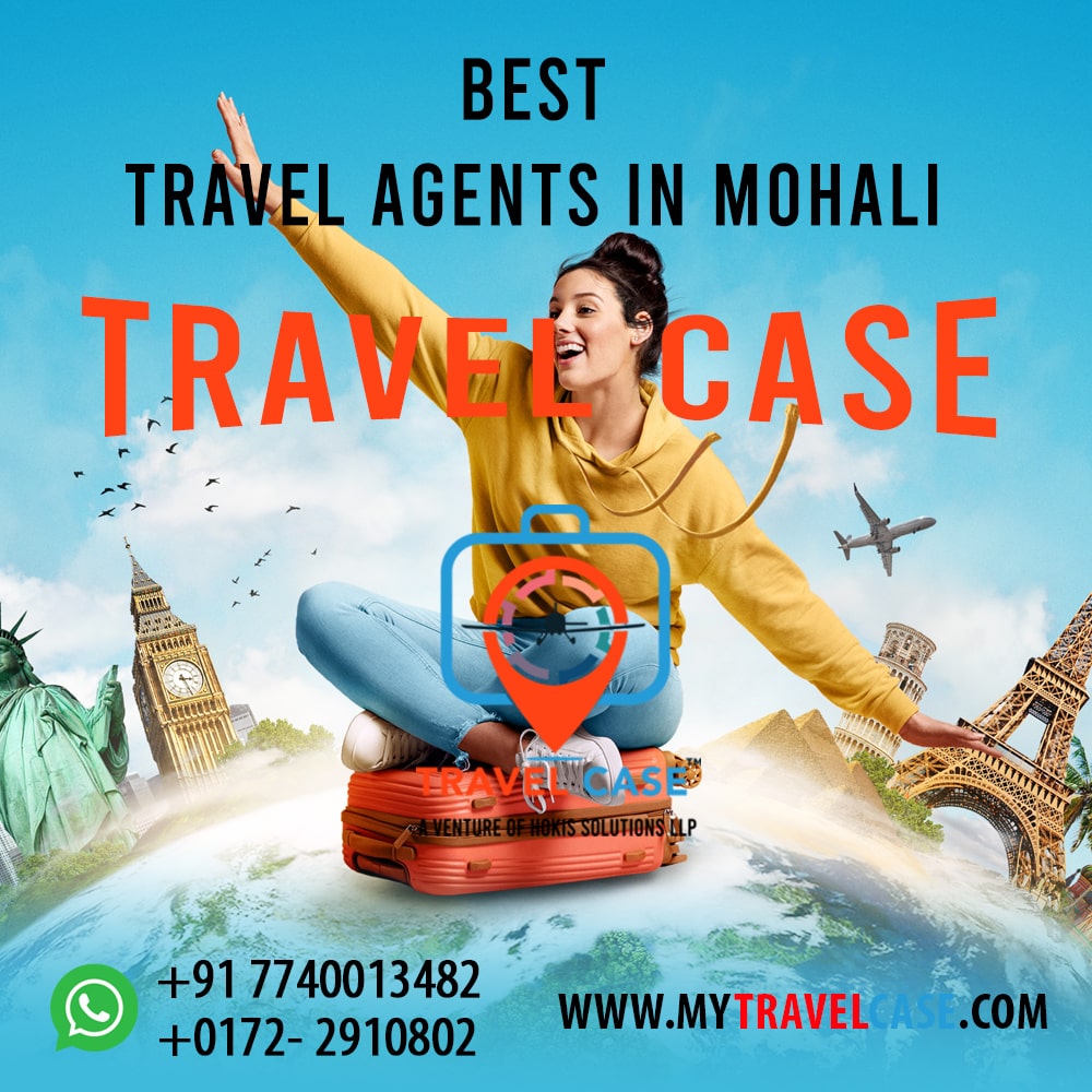 best-travel-agent-in-mohali-min