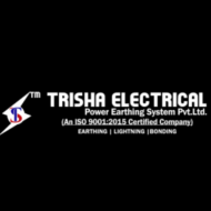 Trisha electrical
